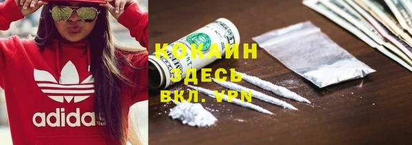 бошки Бородино