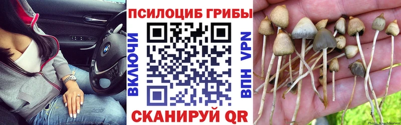 OMG как зайти  Георгиевск  Псилоцибиновые грибы ЛСД 
